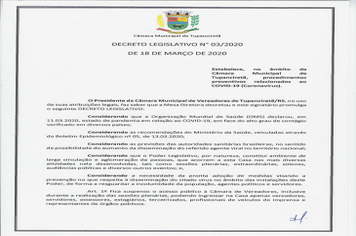 DECRETO LEGISLATIVO 03/2020