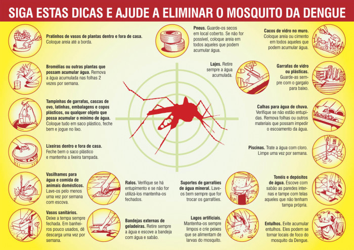 Vamos acabar com a DENGUE!